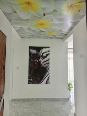 Anthem homes